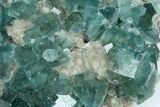 Cubic, Blue-Green Fluorite Crystals on Druzy Quartz - Fluorescent #185462-4